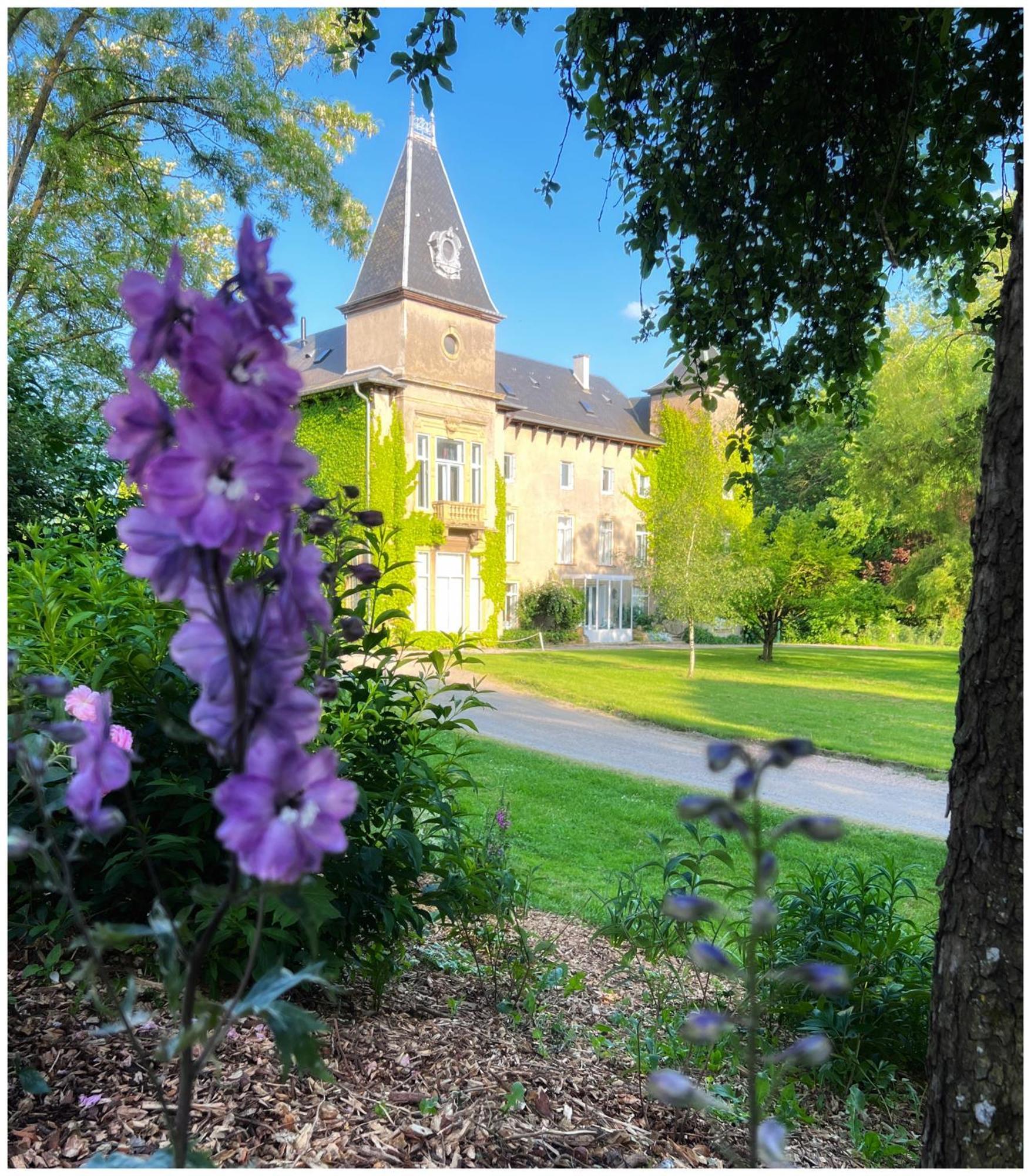 Chateau De Logne Ay-sur-Moselle 外观 照片